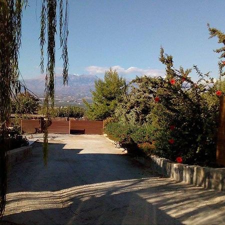 Hostal House Veggera - Private Swimming Pool Pombia Exterior foto